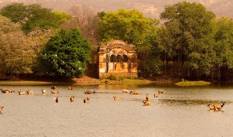 Padam Lake